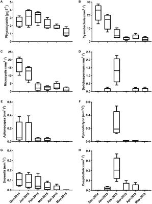 Cyanobacterial Community Composition and Bacteria–Bacteria Interactions Promote the Stable Occurrence of Particle-Associated Bacteria